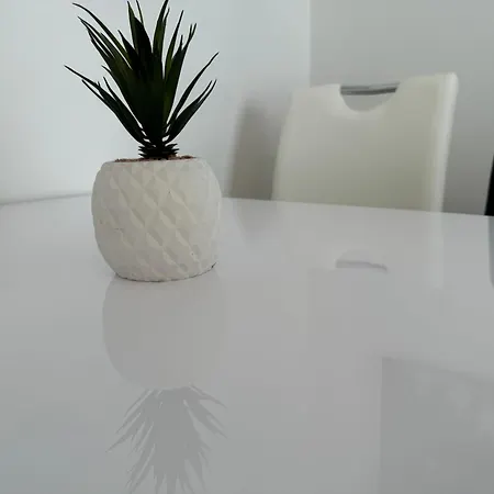 Gemuetliche 2- Zimmer Apartment Nahe Neuen Donau Viena Exterior foto